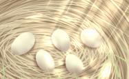 女人梦见捡好多鸡蛋是什么意思