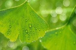 惊蛰这天打雷的俗语,惊蛰日打雷下雨好不好