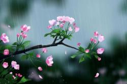 谷雨下雨有说法吗,谷雨下雨有什么说法