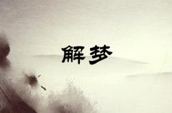 做梦梦到蟑螂是什么意思买什么数字,做梦梦到蟑螂是什么意思