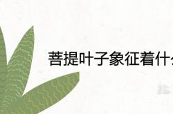 菩提叶子的寓意,菩提叶子象征着什么寓意