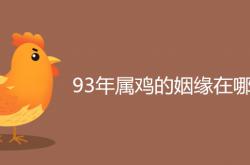 93年属鸡的姻缘在哪年男,93年属鸡的姻缘在哪年