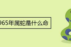 1965年属蛇是什么命