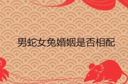 蛇和兔相配婚姻如何,男蛇女兔婚姻是否相配