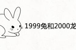 1999年兔女与2000年龙男婚配,1999兔和2000龙好不好