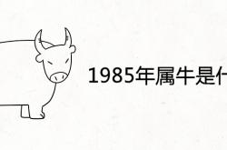 1985年属牛是什么命