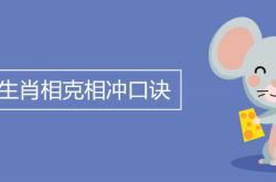 十二生肖最佳配对表格,十二生肖相克相冲口诀