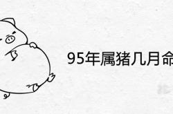 95年属猪几月命不好