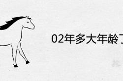 2002年多大年龄了,02年多大年龄了