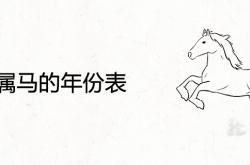 2022年属马的多大年龄,属马的年份表及2022年年龄对照查询