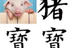 猪宝宝2019取名禁忌(2019年周姓猪男宝宝取名)