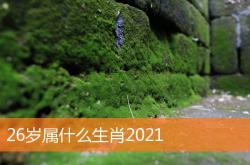 26岁属什么生肖2022,26岁属什么生肖2021