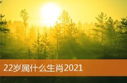 22岁属什么生肖2019,22岁属什么生肖2021