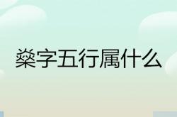 燊字取名的寓意男孩,燊字五行属什么