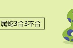 属兔3合3不合,属蛇3合3不合