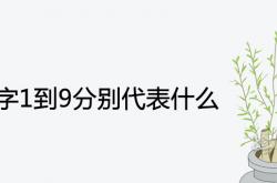 易经里的数字1到9哪个最吉利,易经数字1到9分别代表什么含义