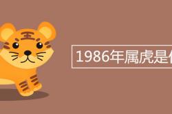 1986年属虎是什么命2023运势,1986年属虎是什么命