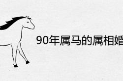 属相婚配表,90年属马的属相婚配表