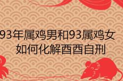 93年属鸡男和93属鸡女配吗婚姻如何,93年属鸡男和93属鸡女配吗