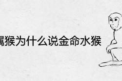 1992剑锋金命猴断六亲,92年属猴为什么说金命水猴