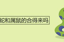 属鼠和属蛇的合不合才,属蛇和属鼠的合得来吗