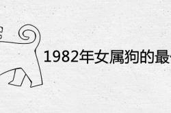 1982属狗女的婚姻搭配,1982年女属狗的最佳婚配