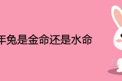 63年兔是金命还是水命啊,63年兔是金命还是水命