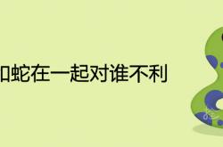 鼠和蛇合不合,鼠和蛇在一起对谁不利