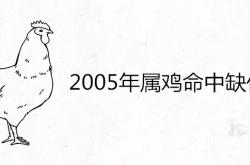 2005年属鸡命中缺什么