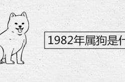 1982年属狗是什么命五行缺什么,1982年属狗是什么命