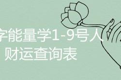 数字能量表解析1-9号人,数字能量学1-9号人财运查询表