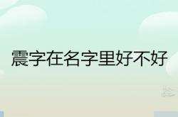 震字在名字的含义,震字在名字里好不好