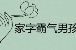 男宝带家字的名字,带家字的男孩名字霸气的能带来好运吗