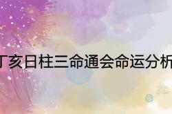 丁亥日柱三命通汇,丁亥日柱三命通会命运分析及介绍