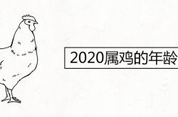 属鸡年龄对照表2020,2020属鸡的年龄表