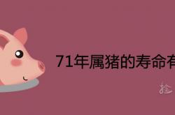 71年属猪的寿命有多大5月初9,71年属猪的寿命有多大