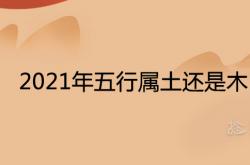 2021年是木命还是土命,2021年五行属土还是木