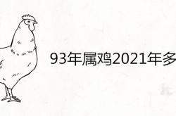 93年属鸡的2021多大,93年属鸡2021年多大