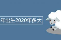 1991年属什么2020年多大,1991年出生2020年多大