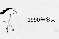 1990年多大了今年2023,1990年多大