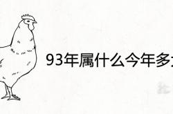 93年属什么今年多大2023,93年属什么今年多大2021