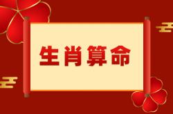 71年属猪的幸运色是什么颜色,属猪的幸运色是什么颜色