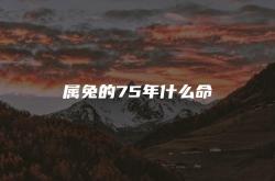 属兔的75年什么命