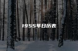 1955年日历表