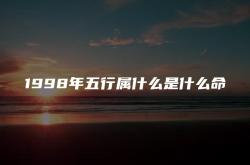 1998年五行属什么是什么命人,1998年五行属什么是什么命