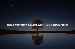 1998年属什么命 五行,1998年五行属什么的是什么命，1998属虎几月命苦