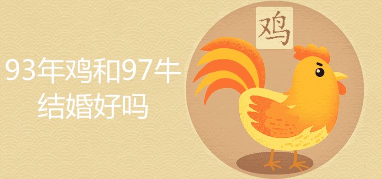 93年鸡和97牛结婚好吗