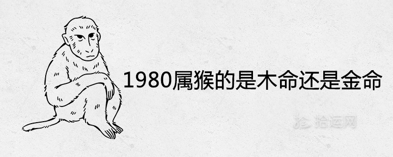 1980年属猴的是木命还是金命