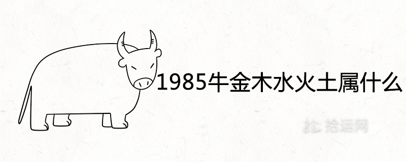 1985牛金木水火土属什么