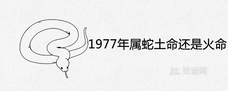 1977年属蛇土命还是火命